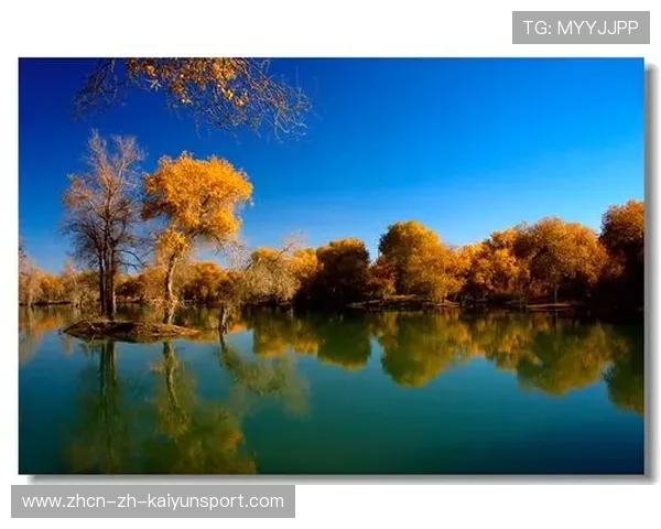 学习新语｜新疆七十年的语言与风景